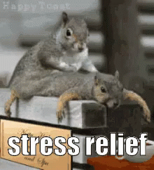 Stress relief for a healthy heart