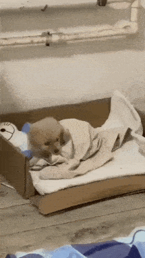 Adequate sleep for reducing blood pressure