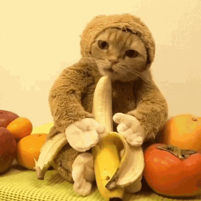 Bananas for lowering blood pressure