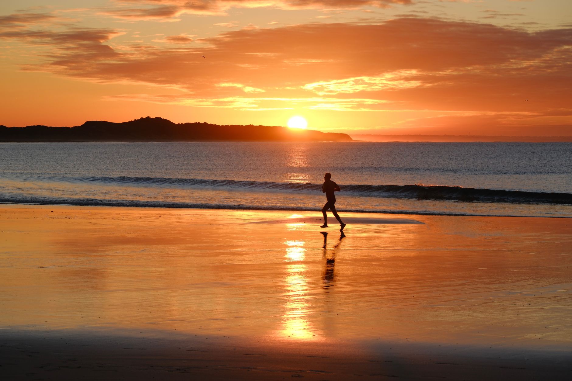 The Role of Vitamin D