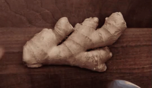 Ginger