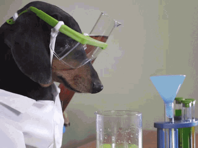 Science