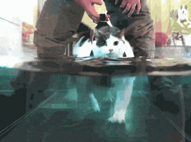 Hydrotherapy