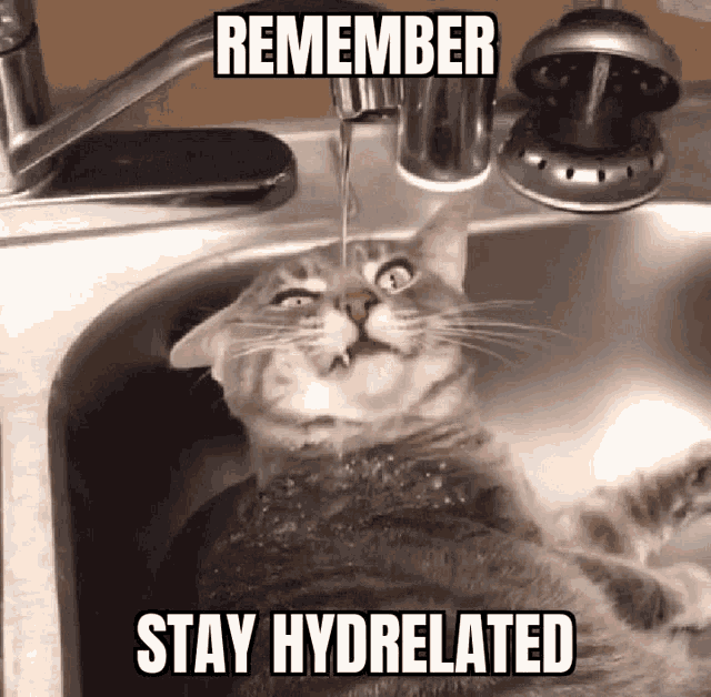 Stay hydrated