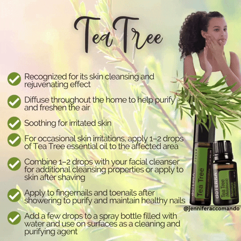 Tea tree
