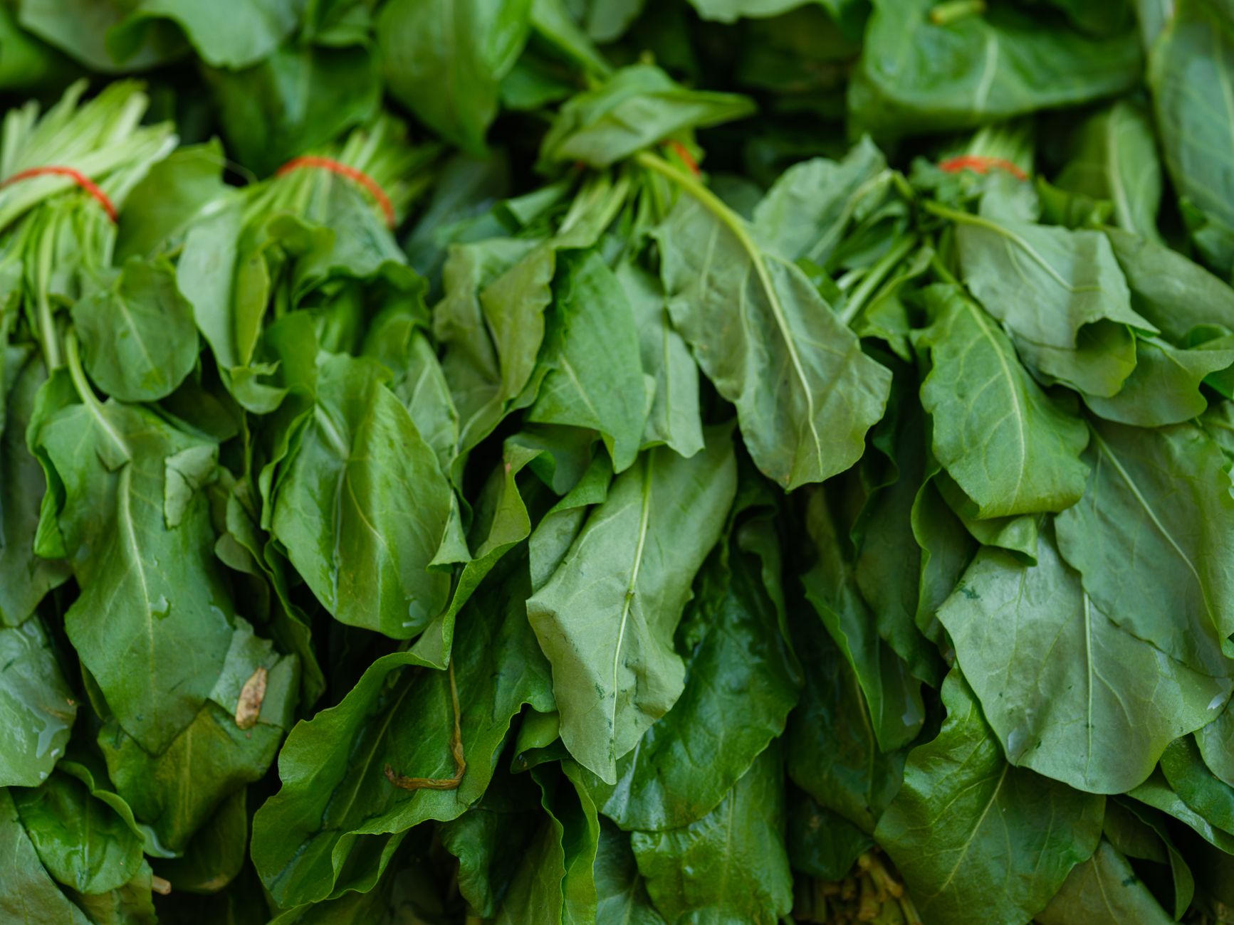 High Ferritin: Too Much Iron, or Something Else?