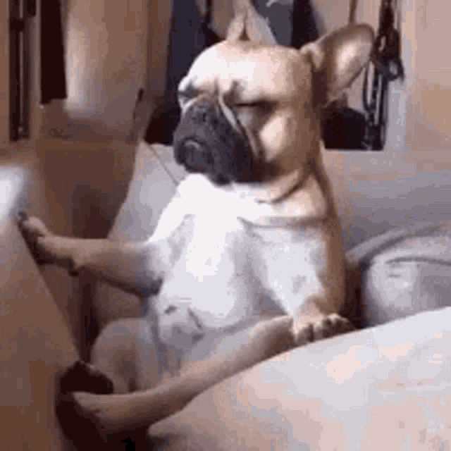 Meditation