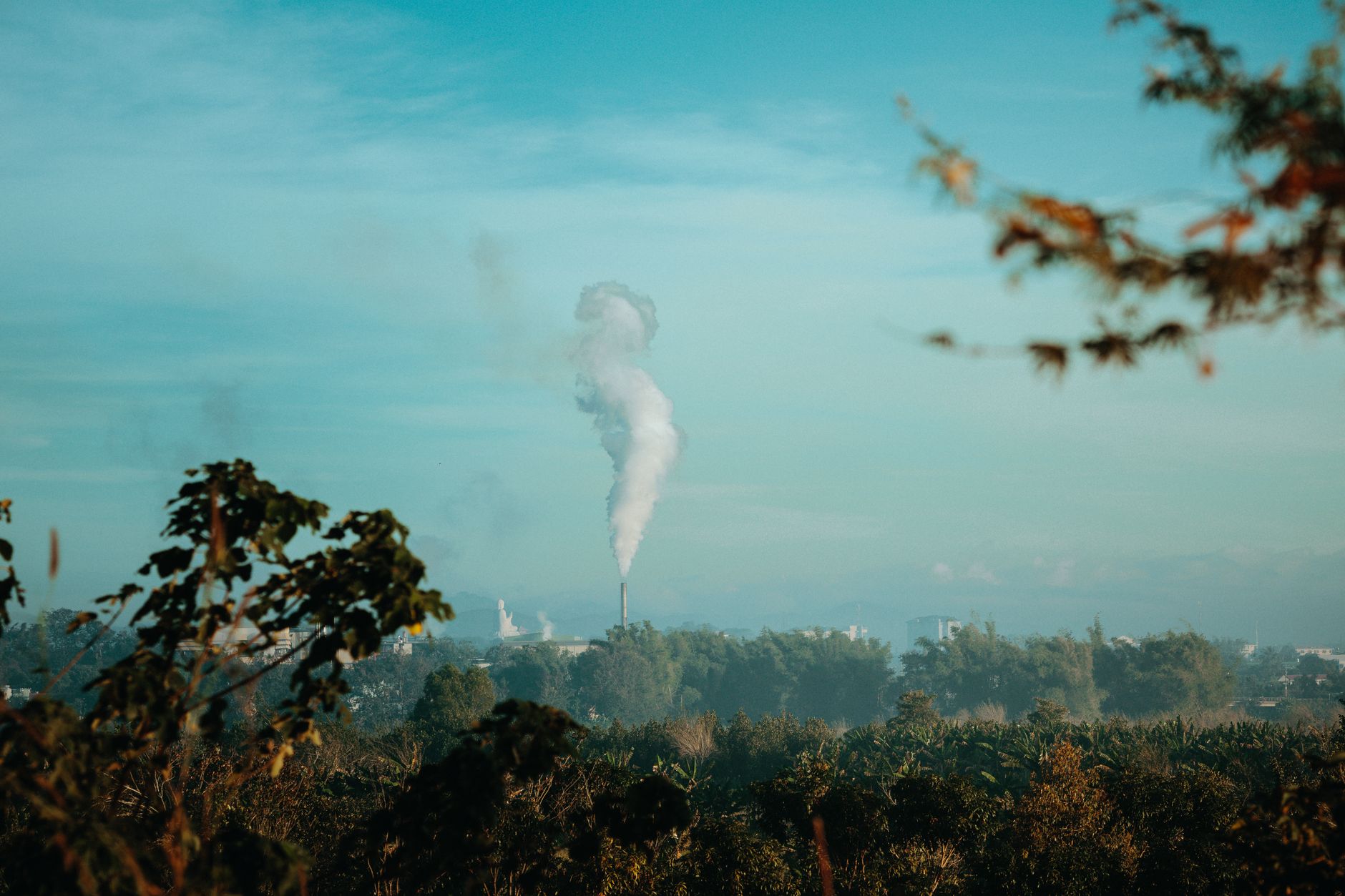 Focus on Air Quality