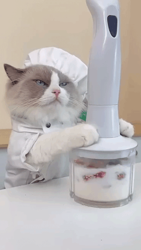 Healthy pet food