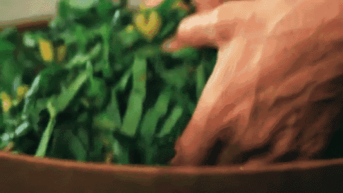 leafy greens